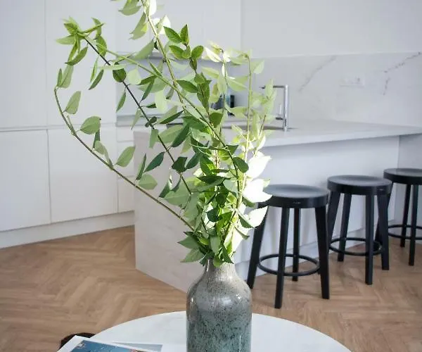 Apartament Deak20 Seghedin